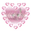 butterfly heart