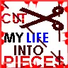 cut my life into pieces