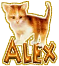 alex baby cat