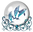 dolphins snowglobe