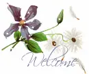 welcome