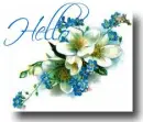 Hello