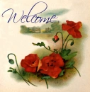 welcome