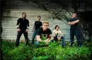 12 stones