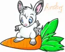Bunny Pet Pet