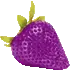 Purple Passion1
