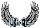 Chris wings