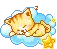 Sleeping cat