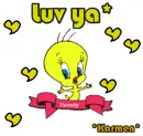 Tweety love