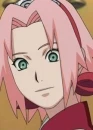 Sakura Shippuden