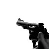 gun