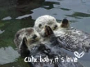 Cuhz,Baby It's Love
