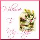Welcome to my page