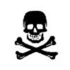 Rotating Skull