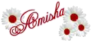 WHITE DAISY AMISHA