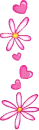   Dividers 