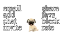Pug