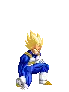 Vegeta rests 