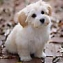*puppy*