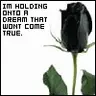 im holding onto a dream that wont come true