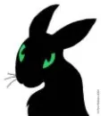 i like black bunny