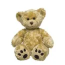 teddy