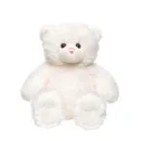 teddy