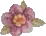 purple flower