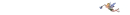 pixy