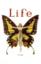 Life Magazine