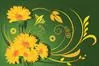 Daisy Dimensions