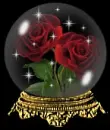 Red roses in globe