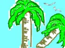 Palm Trees