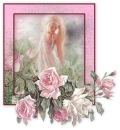 rose angel