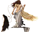 brocken wings