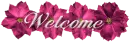 welcome