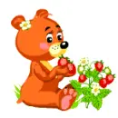 little bear