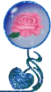 pink rose in globe