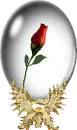red rose in globe
