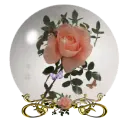pink rose and butterflies globe