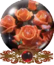 orange roses globe