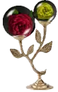 two rose globes