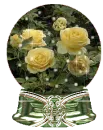 yellow roses globe