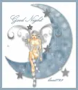 Good Night Fairy