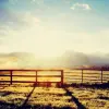 Fence