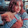 hermione granger and crookshanks