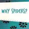 spiders