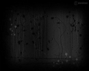 Black Graphic Background
