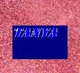 tanya