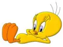 tweety